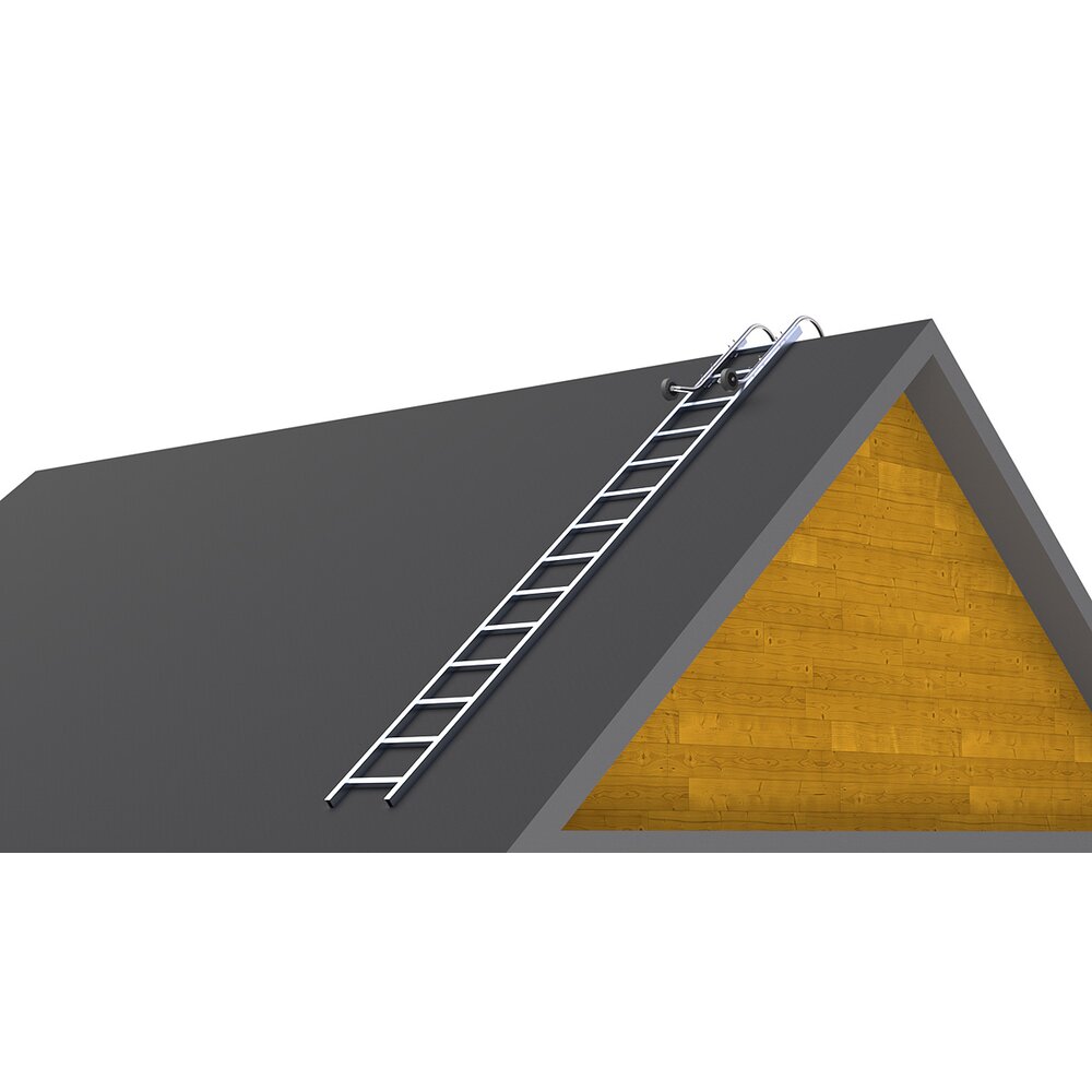 DS 804 - Poignée à crochet et glissière pour échelle de toit